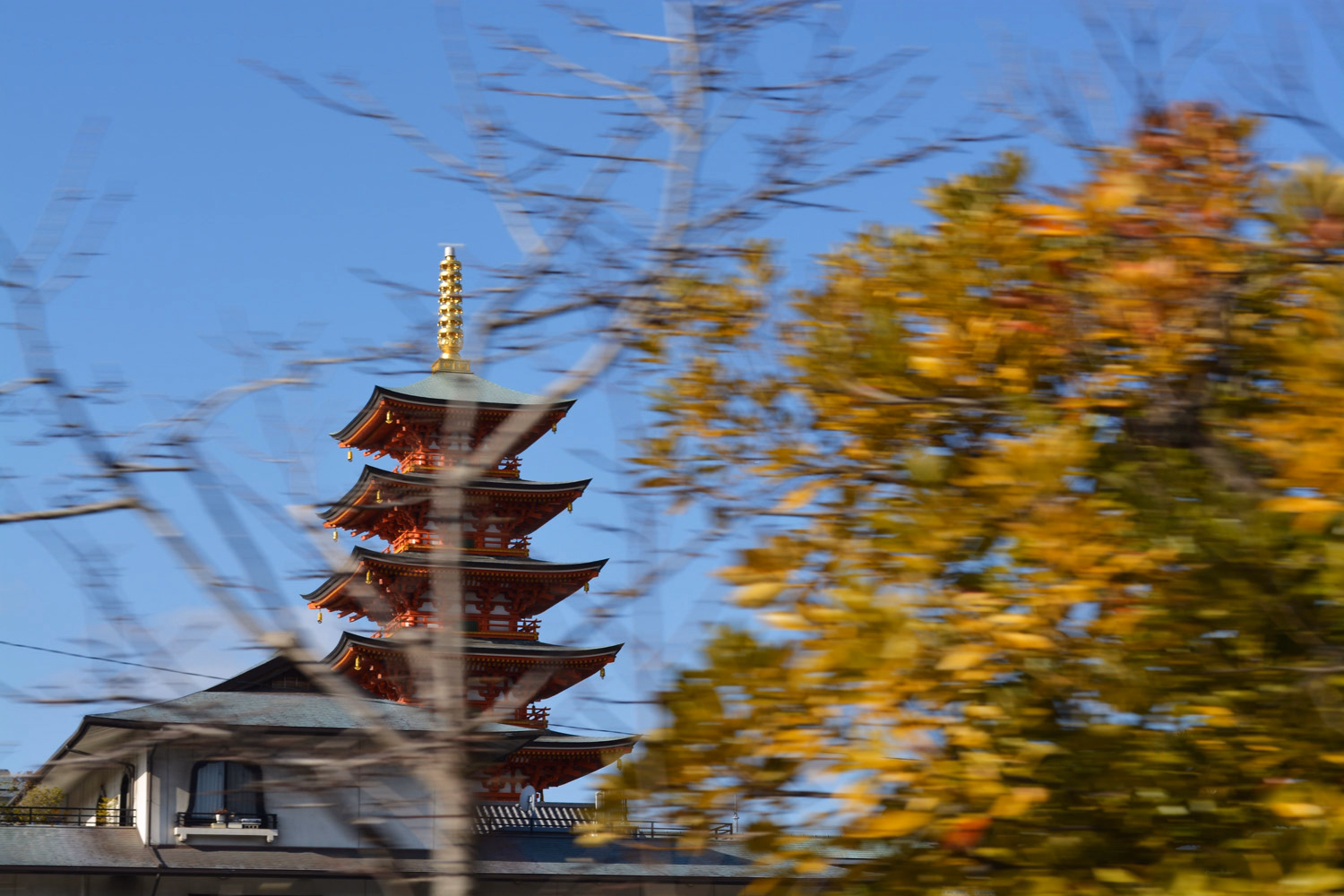 blog