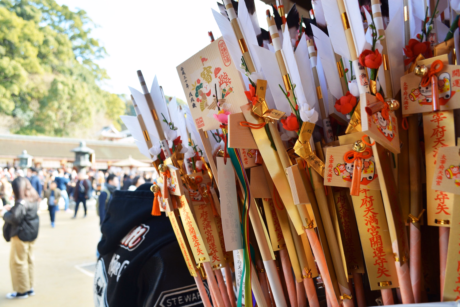 blog