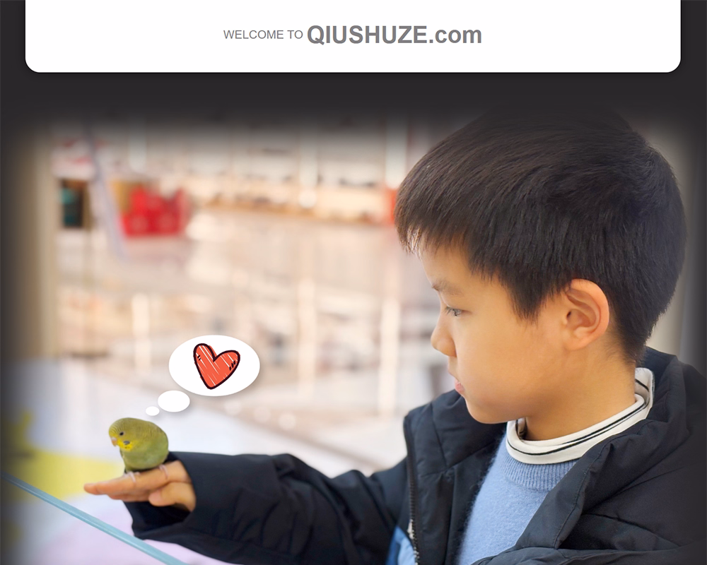 qsz