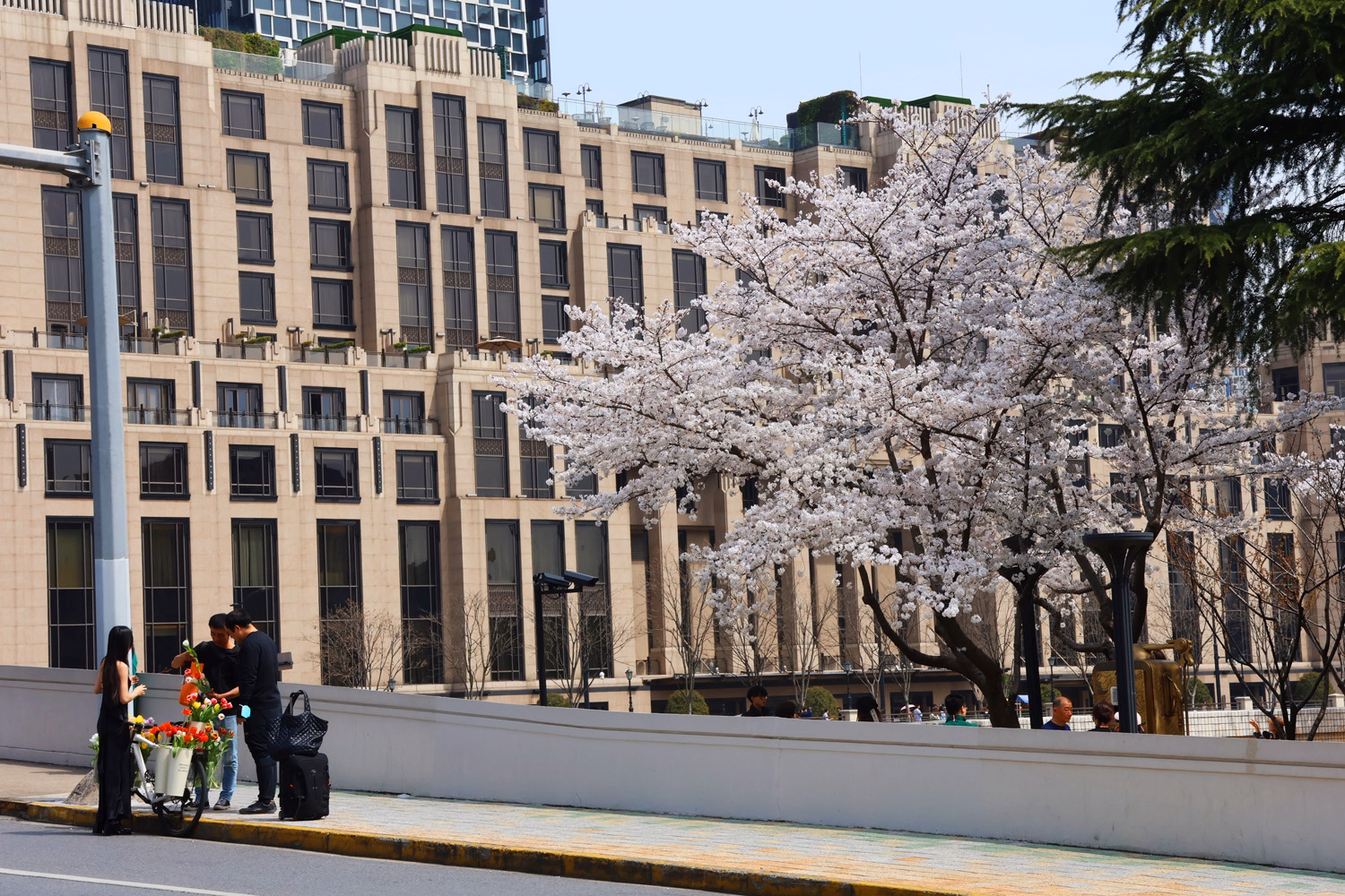 blog