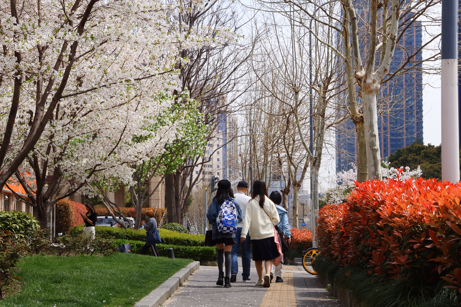 blog
