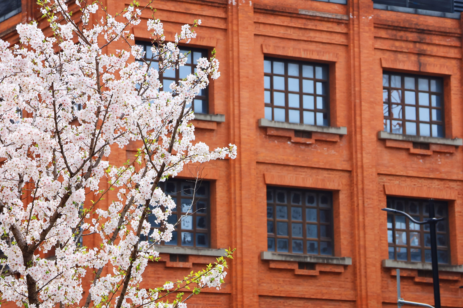 blog